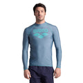 Arena Men's Graphic Long Sleeve Rash Top, Stone Grey
